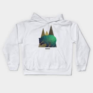 California Bear Kids Hoodie